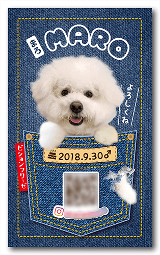 長方形ペット名刺画像