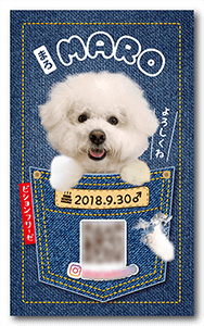 犬のペット名刺