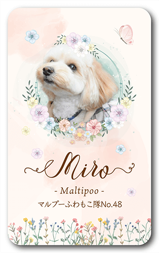 長方形ペット名刺の表面画像