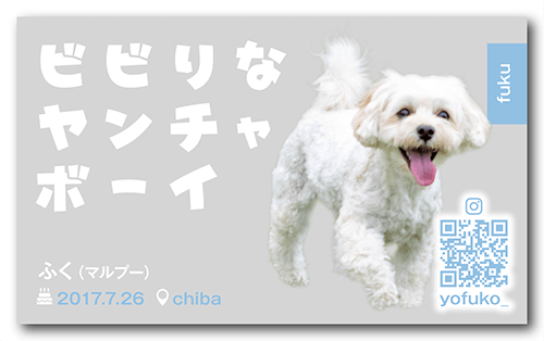 長方形ペット名刺の表面画像