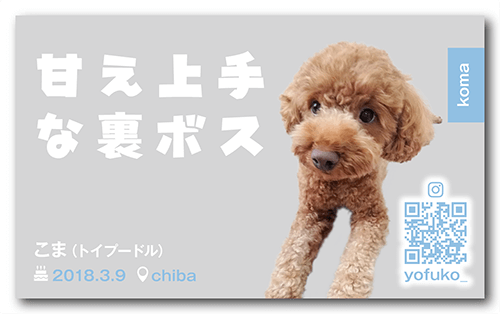 長方形ペット名刺の裏面画像