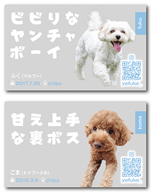 犬（多頭飼い）のペット名刺