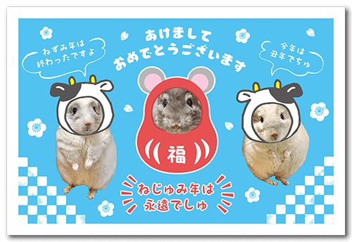 チンチラ（多頭飼い）の年賀状画像