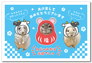 チンチラのペット年賀状