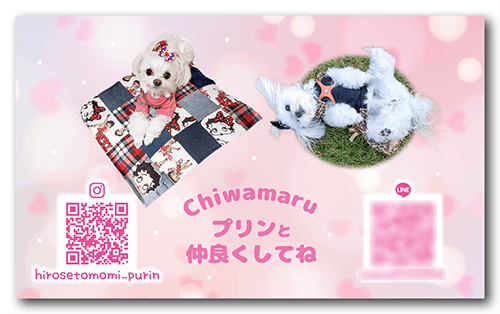 長方形ペット名刺の裏面画像