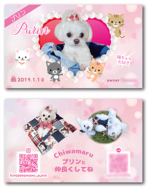 犬のペット名刺