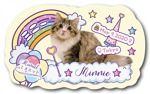 型抜きペット名刺の表面画像