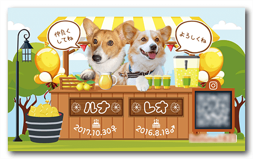 犬（多頭飼い）の長方形ペット名刺画像