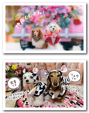 犬のペット名刺