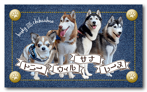 ペット名刺の表面画像