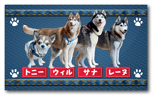 ペット名刺の表面画像