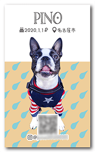 犬のペット名刺