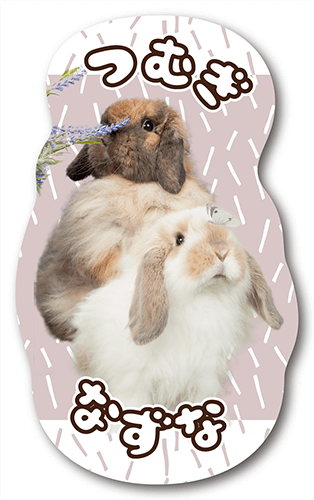 ペット名刺の表面画像