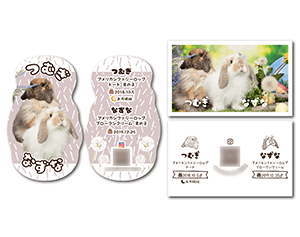 うさぎ（多頭飼い）2種類のペット名刺