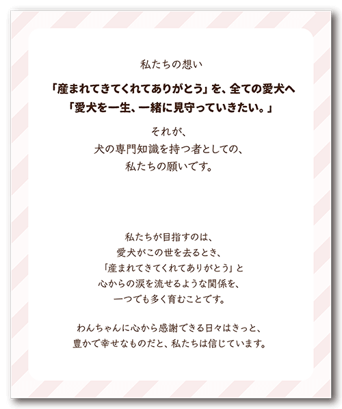 ペット名刺の裏面画像