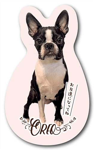 長方形ペット名刺の表面画像