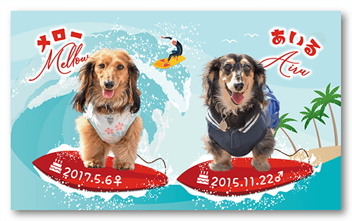 長方形ペット名刺の表面画像