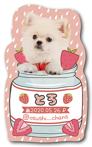 型抜きペット名刺の画像1