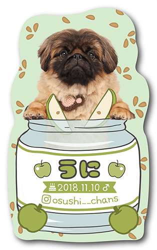 型抜きペット名刺の画像2