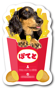 犬のペット名刺