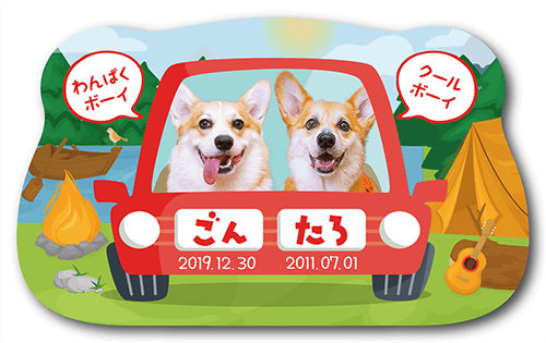 型抜きペット名刺の表面画像