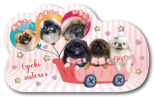 型抜きペット名刺の表面画像