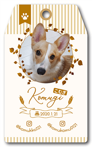 型抜きペット名刺画像