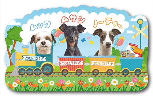 型抜きペット名刺の表面画像