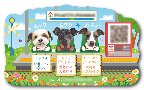 型抜きペット名刺の裏面画像