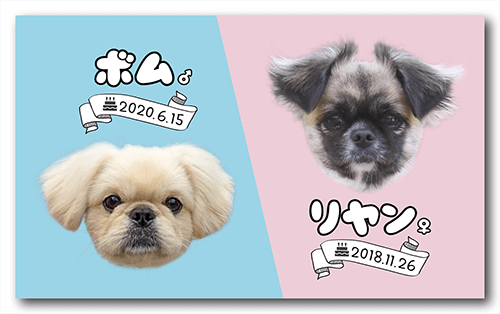 長方形ペット名刺の表面画像