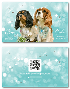 犬のペット名刺