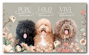 犬（多頭飼い）のペット名刺