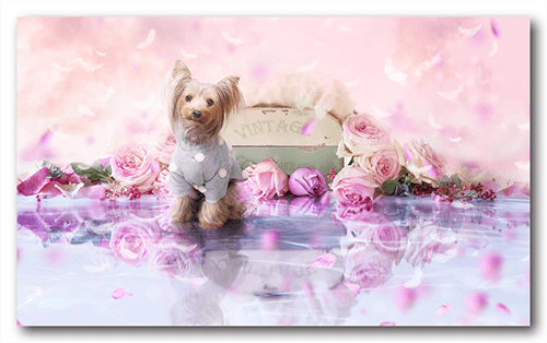 長方形ペット名刺の裏面画像