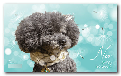 長方形ペット名刺の表面画像