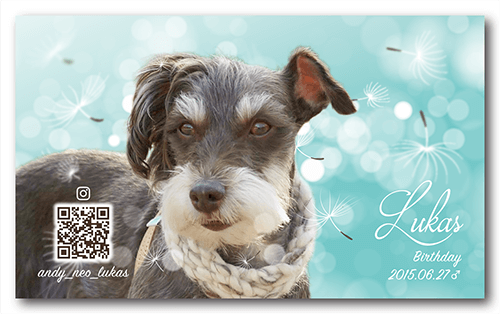 長方形ペット名刺の裏面画像