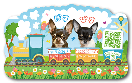 型抜きペット名刺の表面画像