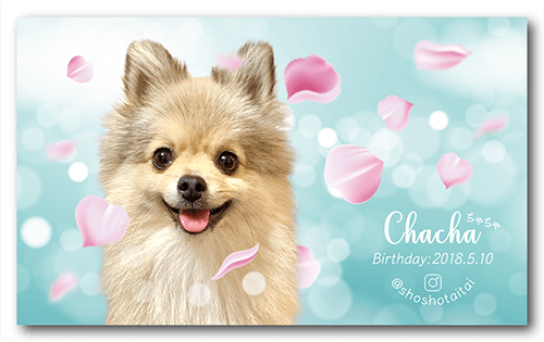 犬の長方形ペット名刺画像