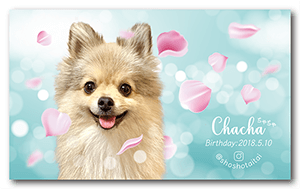 犬のペット名刺