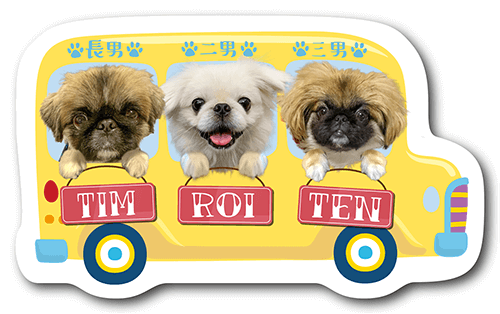 型抜きペット名刺の表面画像