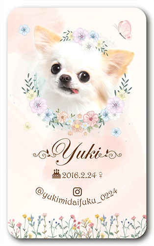 ペット名刺画像