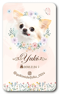 犬のペット名刺