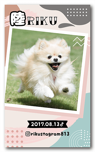 ペット名刺画像