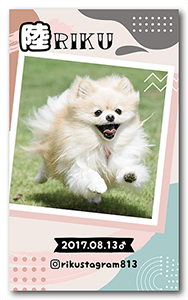 犬のペット名刺