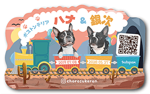 犬（多頭飼い）のペット名刺