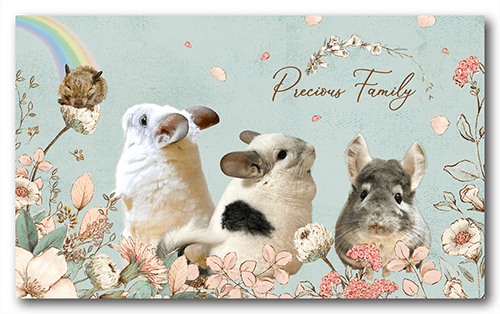 長方形ペット名刺の表面画像