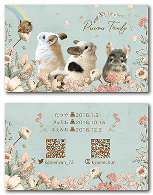 チンチラ（多頭飼い）のペット名刺