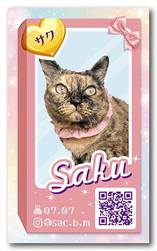 ペット名刺画像