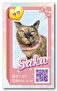 猫ペット名刺