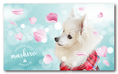 長方形ペット名刺の表面画像