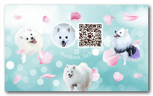 長方形ペット名刺の裏面画像